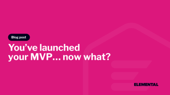 You’ve Launched Your MVP. What Comes Next?